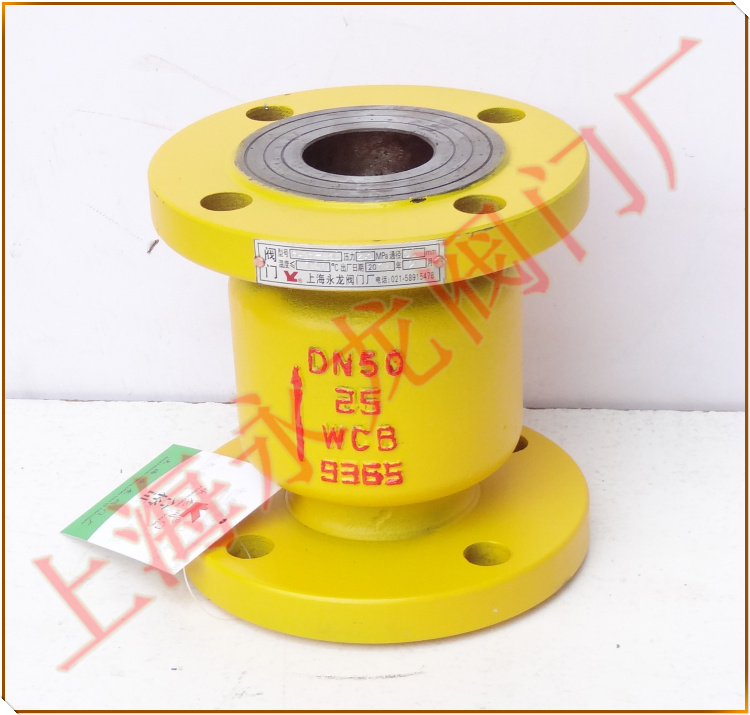 立式氨用止回閥